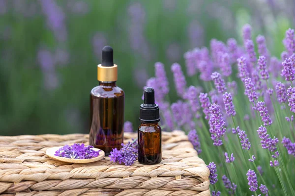 Amber Essential Lavender Oil Bottle Violet Lavendar Field Provence — Stock Photo, Image