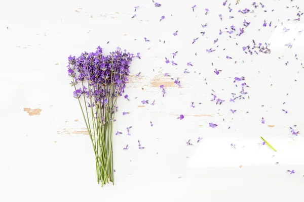 Λεβάντα Ανθοδέσμες Ένα Απομονωμένο Φόντο Μοβ Λουλούδια — Φωτογραφία Αρχείου