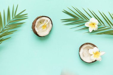 Hindistan cevizi ve palmiye yapraklı tropikal arkaplan