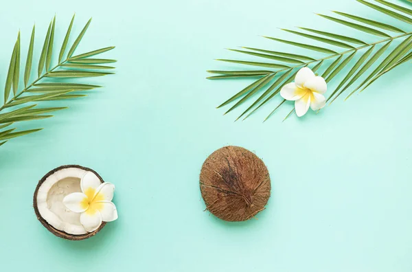 Tropischer Hintergrund Mit Kokosnuss Und Palmblättern — Stockfoto
