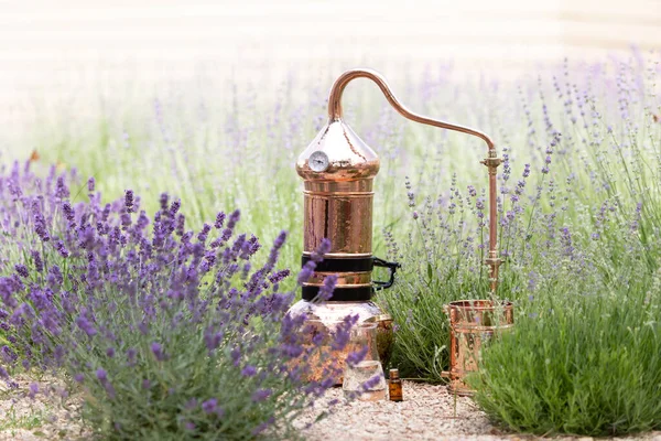 Distilasi Lavender Minyak Esensial Dan Hidrolat Tembaga Alambic Untuk Bidang — Stok Foto