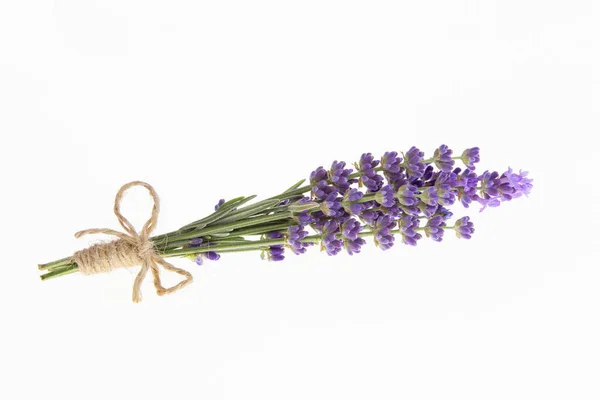 Lavendelsträuße Auf Einem Isolierten Hintergrund Lila Blüten — Stockfoto