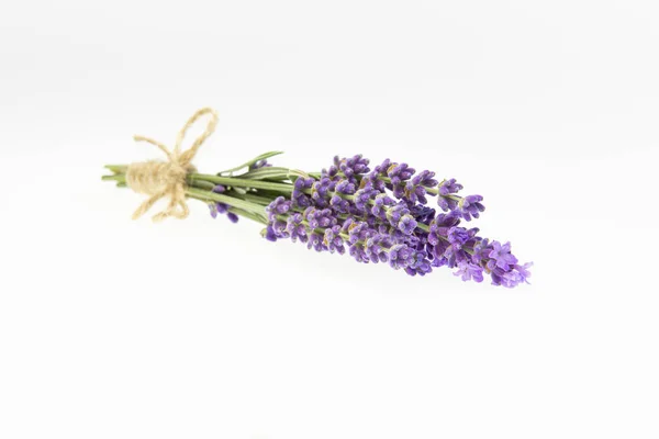 Lavendelsträuße Auf Einem Isolierten Hintergrund Lila Blüten — Stockfoto
