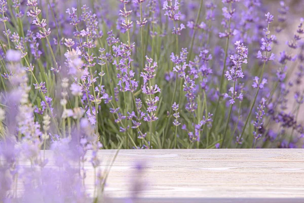 Perspective Background Wooden Table Your Design Lavender Field Region Provence — 图库照片