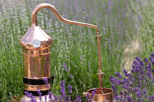 Distillation Lavender Essential Oil Hydrolate Copper Alambic Flowering Field — Stock Photo, Image
