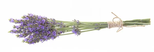 Lavendel Boeketten Een Geïsoleerde Achtergrond Paarse Bloemen — Stockfoto