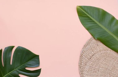 Canlı arkaplanda tropikal yapraklar. Düzleştirilmiş yaz kompozisyonu.