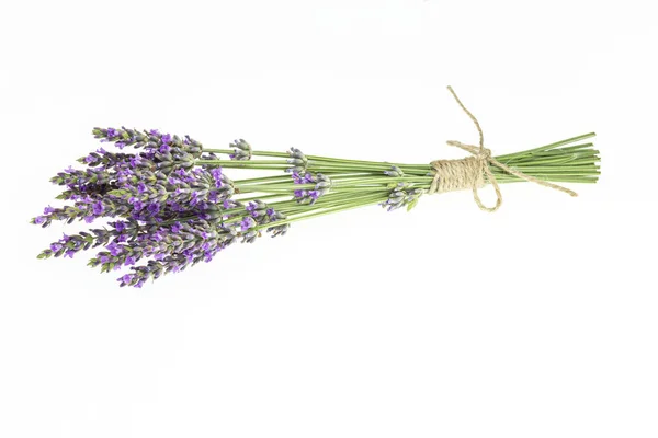 Lavendel Boeketten Een Geïsoleerde Achtergrond Paarse Bloemen — Stockfoto