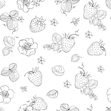 Çilek pürüzsüz desen. Vektör botaniği