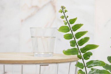 Canlı arkaplanda tropikal yapraklar. Düzleştirilmiş yaz kompozisyonu.