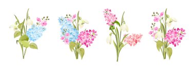 Beyaz arkaplanda farklı leylak kümeleri