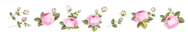 Fleurs Vintage Mis Fond Blanc Bundle Fleurs Mariage — Image vectorielle