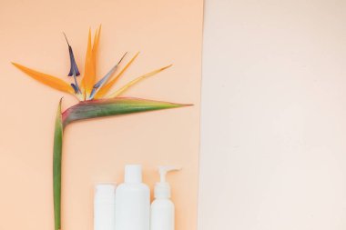 Beyaz şişe ve tropik arka planda palmiye yapraklarıyla cilt bakımı kavramı