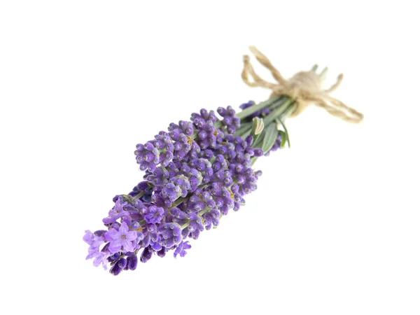 Букети Лаванди Ізольованому Тлі Фіолетові Квіти — стокове фото