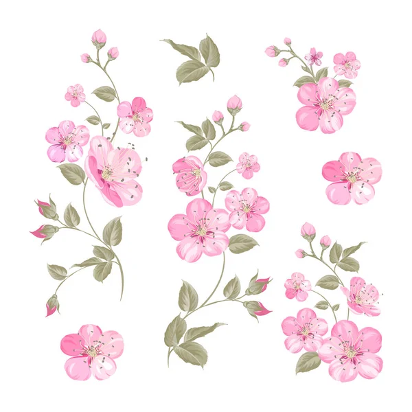 Flores Sakura Fundo Primavera Ilustração Vetorial Ilustração Vetorial —  Vetores de Stock