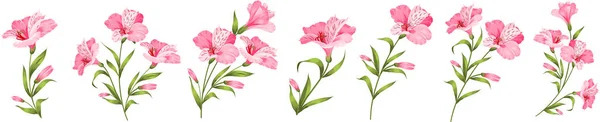 Ensemble Différents Hibiscus Sur Fond Blanc Illustration Vectorielle — Image vectorielle
