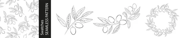 Ensemble Différentes Branches Olives Motif Sans Couture Cadre Circulaire Sur — Image vectorielle