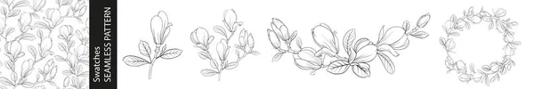 Ensemble Différentes Branches Magnolia Motif Sans Couture Cadre Circulaire Sur — Image vectorielle