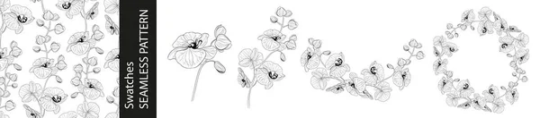 Sada Různých Větví Orchidejí Květiny Bezešvé Vzor Kruh Rám Bílém — Stockový vektor