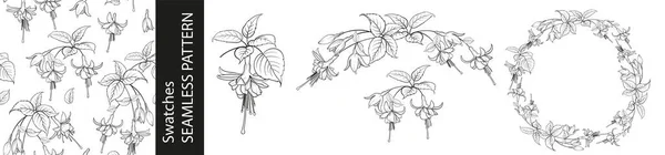 Sada Různých Větví Fuchsie Květiny Bezešvé Vzor Kruh Rám Bílém — Stockový vektor
