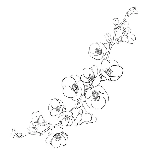 Чорний Силует Гірлянди Квітів Сакури Векторні Ілюстрації Білому Тлі — стоковий вектор