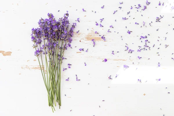 Bouquets Lavande Sur Fond Isolé Fleurs Violettes — Photo