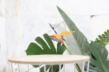 Canlı arkaplanda tropikal yapraklar. Düzleştirilmiş yaz kompozisyonu.