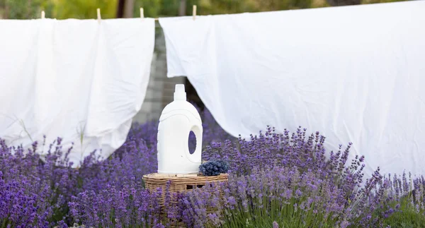 Fabric Softener Lavender Scent Fragrance Field Purple Flowers — Stock Photo, Image