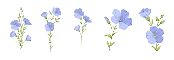 Sada Různých Květinové Prádlo Bílém Pozadí Vektorová Ilustrace — Stockový vektor