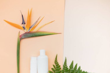 Beyaz şişe ve tropik arka planda palmiye yapraklarıyla cilt bakımı kavramı