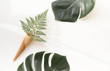 Canlı arkaplanda tropikal yapraklar. Düzleştirilmiş yaz kompozisyonu.