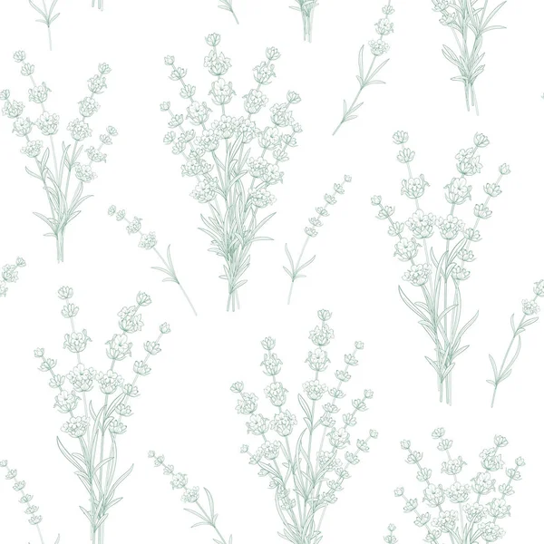 Απρόσκοπτη Μοτίβο Από Λουλούδια Λεβάντας Λευκό Φόντο — Διανυσματικό Αρχείο