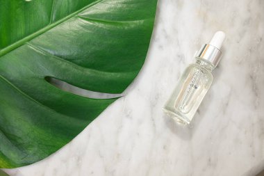 Gerekli yağ şişeleri ve tropikal bir arka planda canavar yaprağı. Deri ve vücut bakımı kavramı