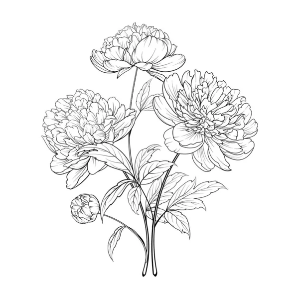 牡丹の花の黒いシルエット 白い背景に花束のベクトルイラスト — ストックベクタ