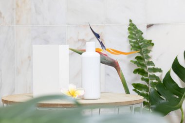 Tropik model kart. Tarz ev dekorasyonu. Beyaz şişe losyonu