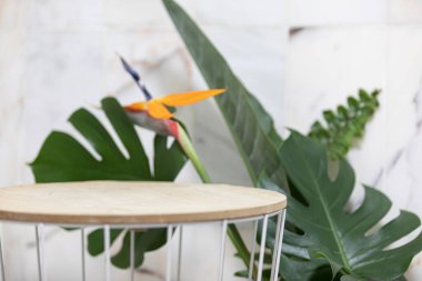 Canlı arkaplanda tropikal yapraklar. Düzleştirilmiş yaz kompozisyonu.