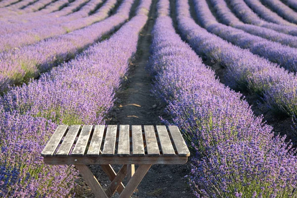 Perspektivischer Hintergrund Mit Holztisch Für Ihr Design Lavendelfelder Der Provence — Stockfoto