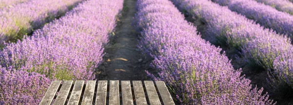 Perspektivischer Hintergrund Mit Holztisch Für Ihr Design Lavendelfelder Der Provence — Stockfoto