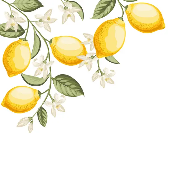 Invito Matrimonio Illustrazione Limone Cornice Disegnata Mano — Vettoriale Stock
