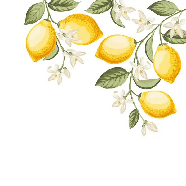 Wedding Invitation Lemon Illustration Hand Drawn Frame —  Vetores de Stock