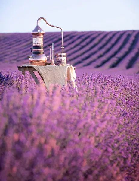 Distillation Lavender Essential Oil Hydrolate Copper Alambik Flowering Field — Stock Photo, Image