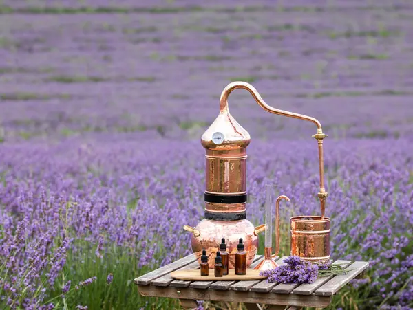 薰衣草精油和水合物的蒸馏 开花场的铜质羊毛脂 — 图库照片