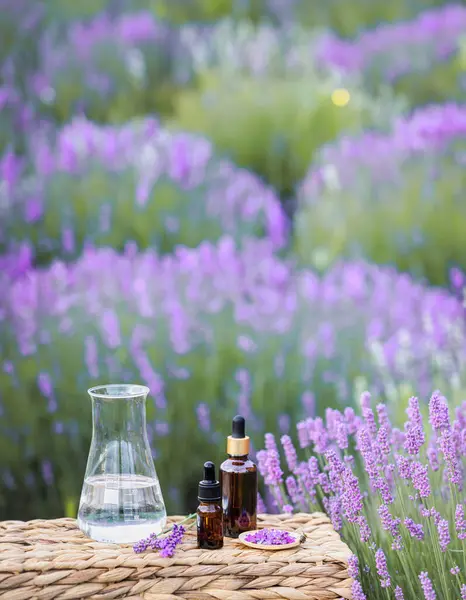 Kehribar Lavanta Yağı Şişesi Provence Deki Violet Lavanta Tarlası — Stok fotoğraf