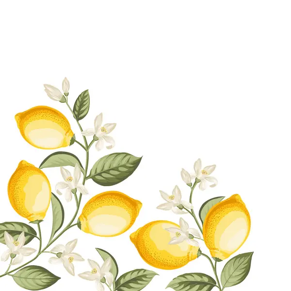 Wedding Invitation Lemon Illustration Hand Drawn Frame — Vetor de Stock