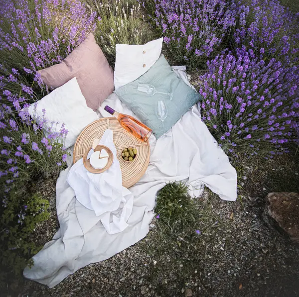 Пікнік Заході Сонця Лавандовому Полі Вино Сир — стокове фото