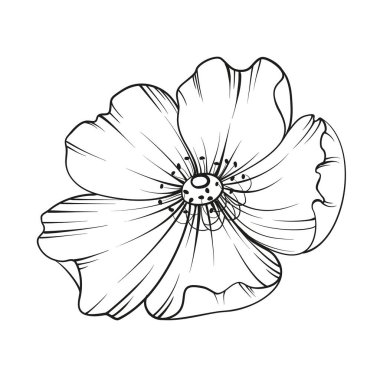 Beyaz arkaplanda siyah özet.