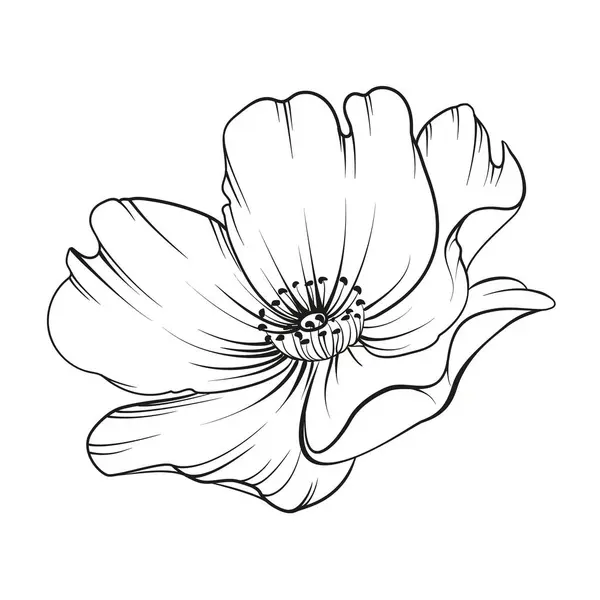 Contur Negru Trandafir Fundal Alb — Vector de stoc