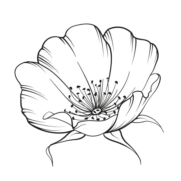 白い背景に黒い輪郭のバラシップ — ストックベクタ