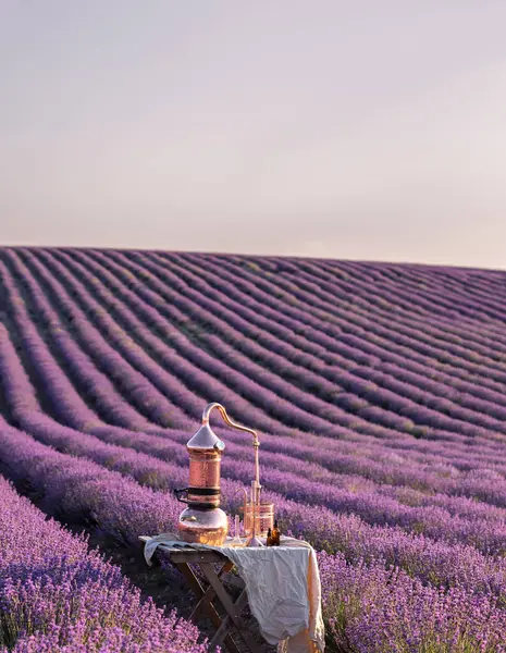 Distilasi Lavender Minyak Esensial Dan Hidrolat Tembaga Alambic Untuk Bidang — Stok Foto