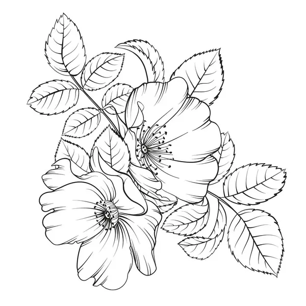 白い背景に黒い輪郭のバラシップ — ストックベクタ